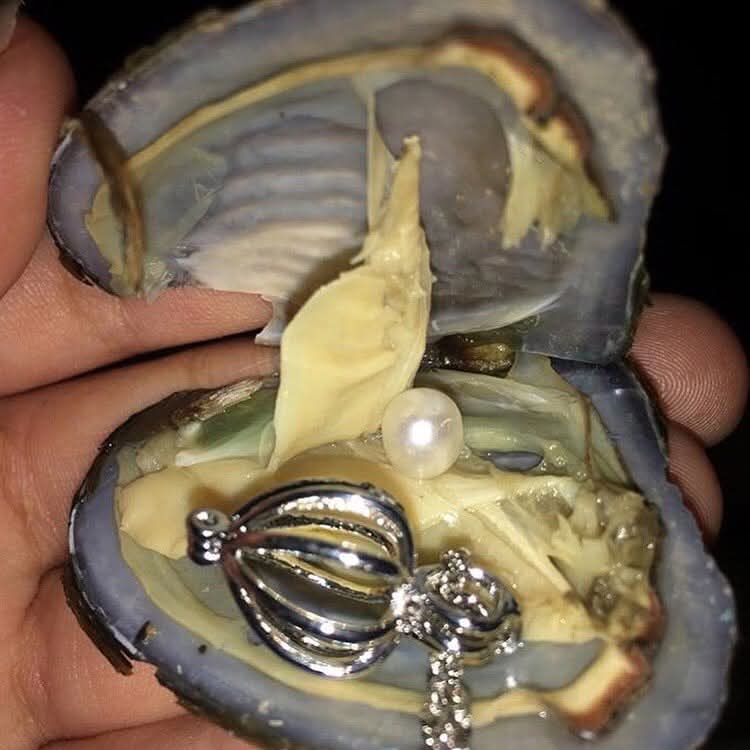Pearl Necklace